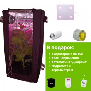 Бюджетный гроубокс 80x80x160cм с фитолампой 204Wt